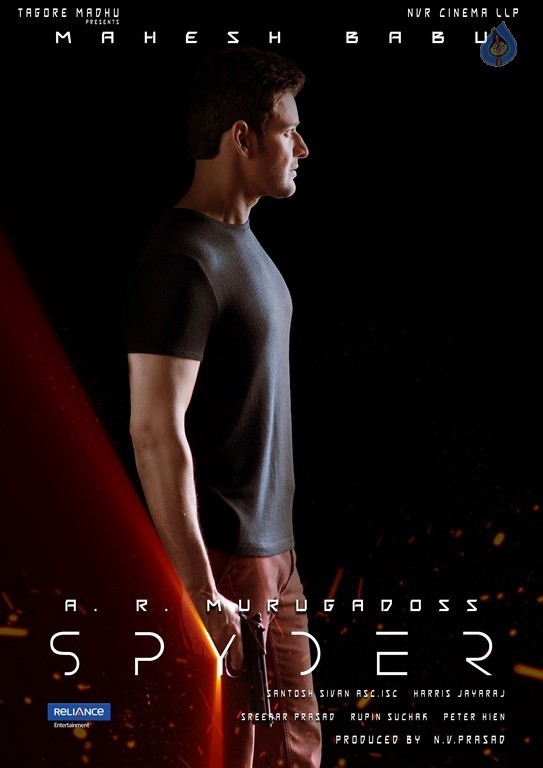 Spyder 