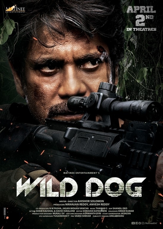 Wild Dog 