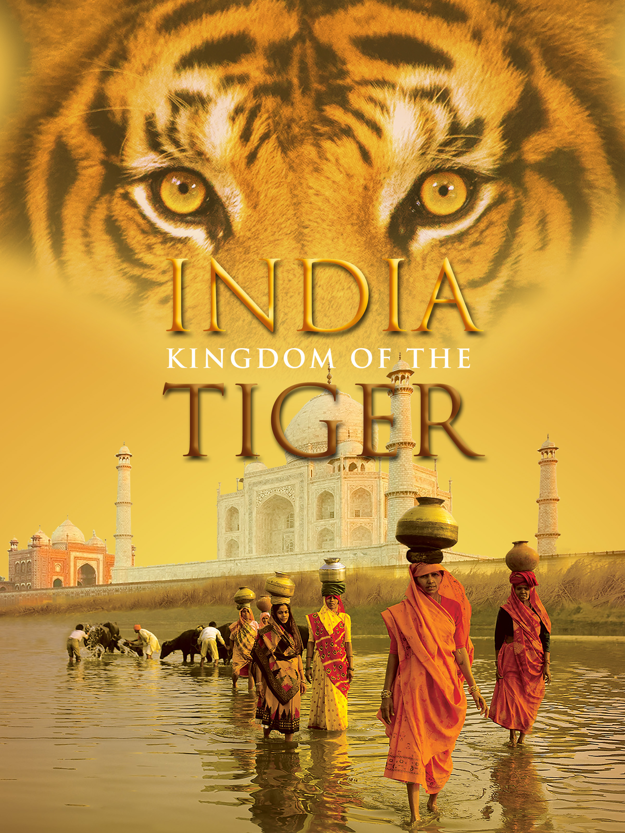 India: Kingdom Of The Tiger 